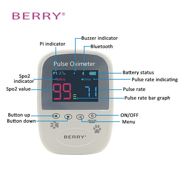 10-Hour Battery Life Veterinary Patient Monitor With PI Parameters